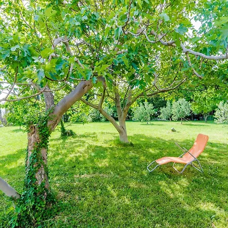 Apartament With 1 And Terrace