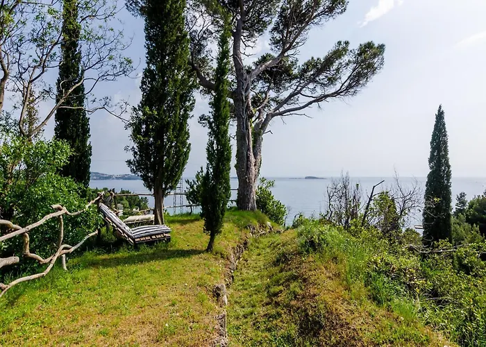 Apartament With 1 And Terrace *