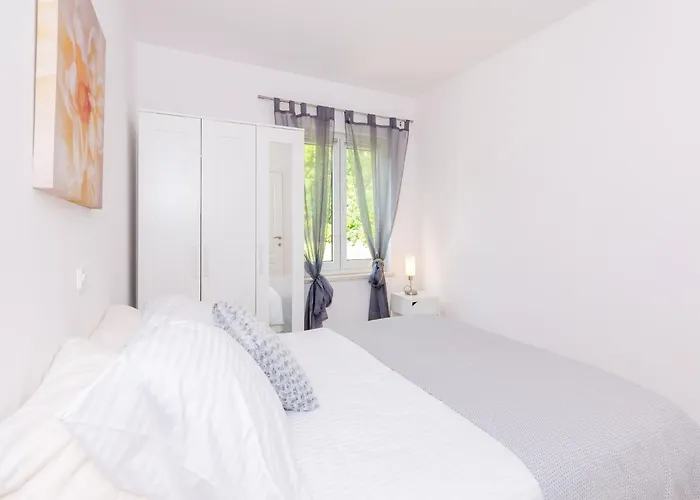 Apartament With 1 And Terrace