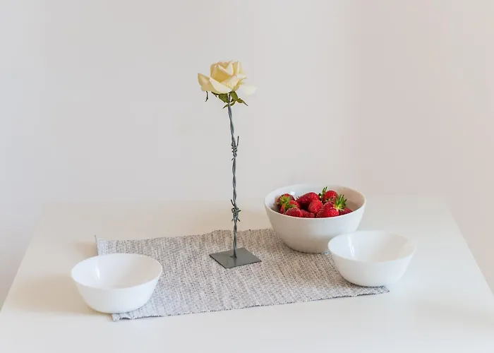 With 1 And Terrace Apartament