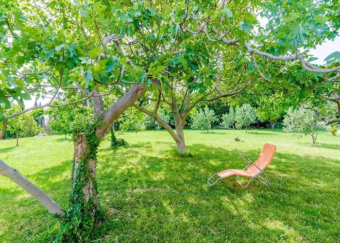 Apartament With 1 And Terrace