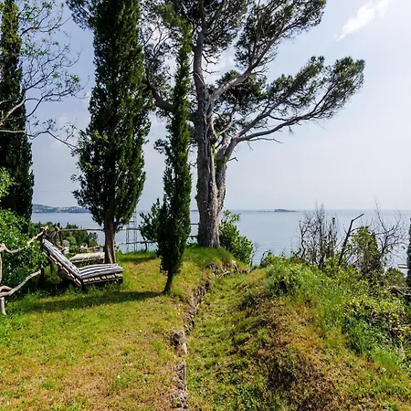 Apartment Color - Comfort One Bedroom With Terrace And Partial Sea View Yellow *