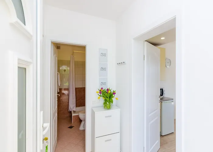 With 1 And Terrace شقة